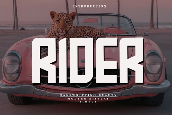 Rider